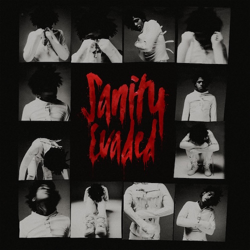 YFG Fatso :: Sanity Evaded